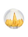 Cardcaptor Sakura Sakura Kinomoto Shapeshift Yellow Dress Cosplay Costumes