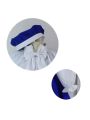 Cardcaptor Sakura Tomoyo Daidouji Singer Blue Dress Cosplay Costume