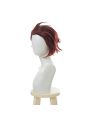 Blade of Demon  Kimetsu no Yaiba Tanjirou Kamado Red Black Cosplay Wigs