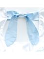 Blue Backless Bow-Knot Underwear Cosplay Costume