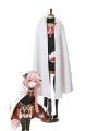 Fate Astolfo Servant Anime Cosplay Costumes