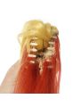 Demon Slayer  Rengoku Kyoujurou Yellow Mixed Red Ponytail Cosplay Wigs