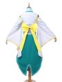 Fate Grand Order Kiyohime Cosplay Costumes