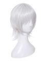 Fate/Apocrypha Assassin of Black Jack the Ripper Silver Cosplay Wigs
