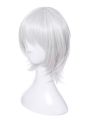 Fate/Apocrypha Assassin of Black Jack the Ripper Silver Cosplay Wigs