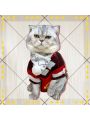 Game Genshin Impact Klee Cat Cosplay Costume