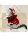 Game Genshin Impact Klee Cat Cosplay Costume