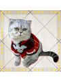 Game Genshin Impact Klee Cat Cosplay Costume
