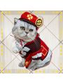 Game Genshin Impact Klee Cat Cosplay Costume