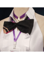 Honkai Star Rail Asta Cosplay Costume