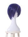 My Hero Academia Tenya Iida Anime Cosplay Wigs Synthetic Dark Blue  Short Wigs