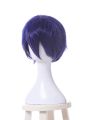 My Hero Academia Tenya Iida Anime Cosplay Wigs Synthetic Dark Blue  Short WigsMy Hero Academia Tenya Iida Anime Cosplay Wigs Synthetic Dark Blue  Short Wigs