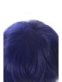 My Hero Academia Tenya Iida Anime Cosplay Wigs Synthetic Dark Blue  Short Wigs