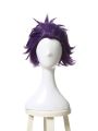 My Hero Academia Shinsou Hitoshi Short Purple Cosplay Wigs