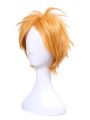 Short Man Cosplay Wigs
