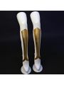 LOL League of Legends Elementalist Lux Cosplay Costume