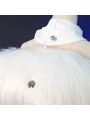 LOL Aurora Cosplay Costume Halloween Costume