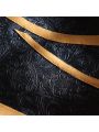 LOL Immortalized Legend Ahri Cosplay Costume