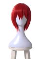 Mahō Tsukai no Yome Chise Hatori Cosplay Red Wigs