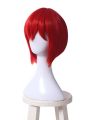 Mahō Tsukai no Yome Chise Hatori Cosplay Red Wigs