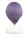 35cm The Melancholy Of Haruhi Suzumiya Nagato Yuki Cosplay Wigs Short Purple Woman Wigs