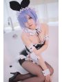 ReZERO -Starting Life in Another World Rem Ram Anime Bunny Girl Cosplay Costumes