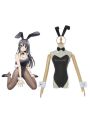 Seishun Buta Yarou wa Bunny Girl Senpai no Yume wo Minai  Sakurajima Mai  Bunny girl Cosplay
