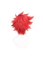 SK8 The Infinity Reki KyanLanga HasegawaMiya ChinenKaoru SakurayashikiKojiro Nanjo Cosplay Wigs