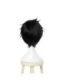 The Rising of the Shield Hero Naofumi Iwatani Black Short Cosplay Wigs
