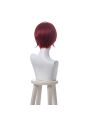Twisted Wonderland Riddle Rosehearts Red Short Cosplay Wigs Back