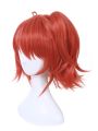 Fate/Grand Order Grand Master Olgamally Animusphere Short Straight Orange Red Synthetic Female Cosplay Wigs