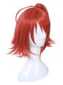 Fate/Grand Order Grand Master Olgamally Animusphere Short Straight Orange Red Synthetic Female Cosplay Wigs