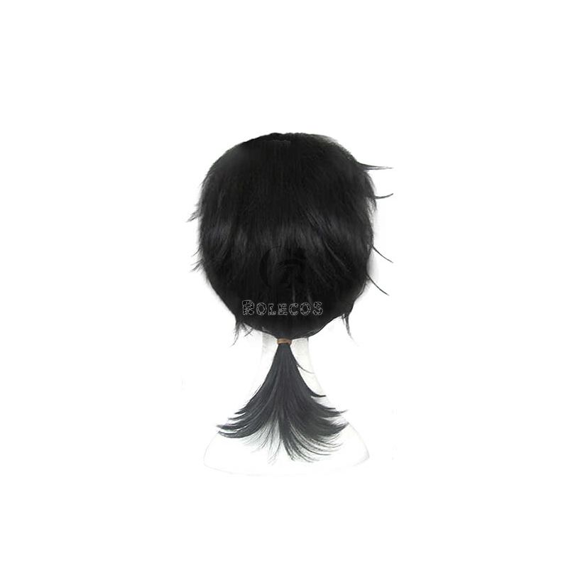 Anime Cosplay wigs Man Wigs