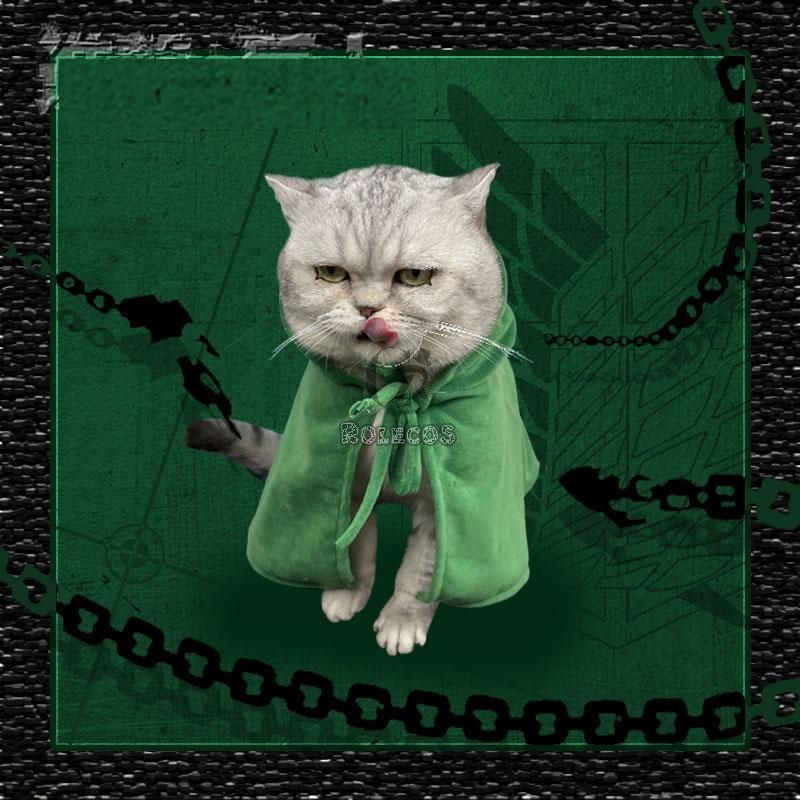 Attack on Titan Scout Regiment Cat Cosplay Costume