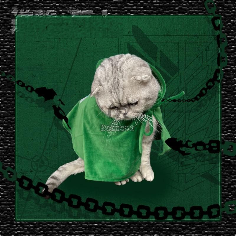 Attack on Titan Scout Regiment Cat Cosplay Costume