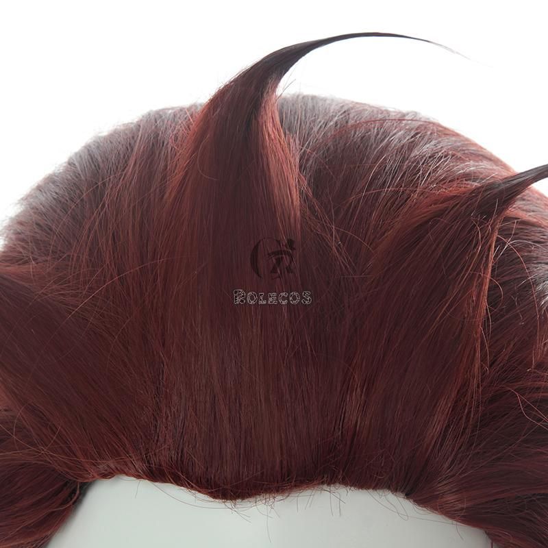 Blade of Demon  Kimetsu no Yaiba Tanjirou Kamado Red Black Cosplay Wigs
