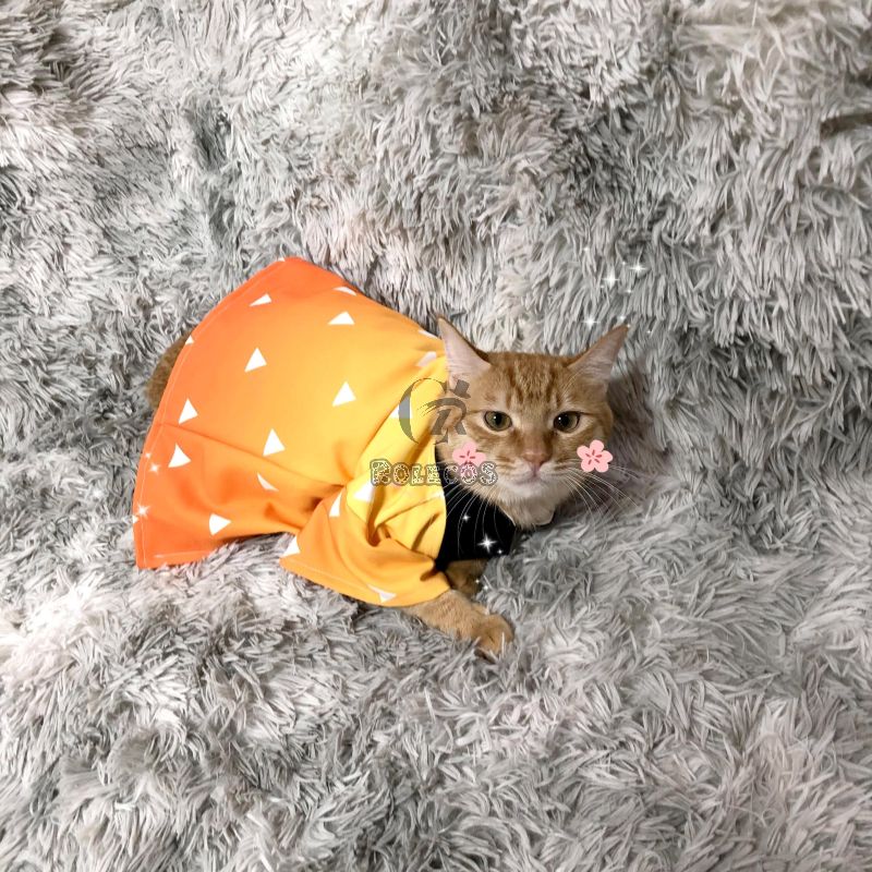 Demon Slayer 5 Style Cat costume Cosplay Costume