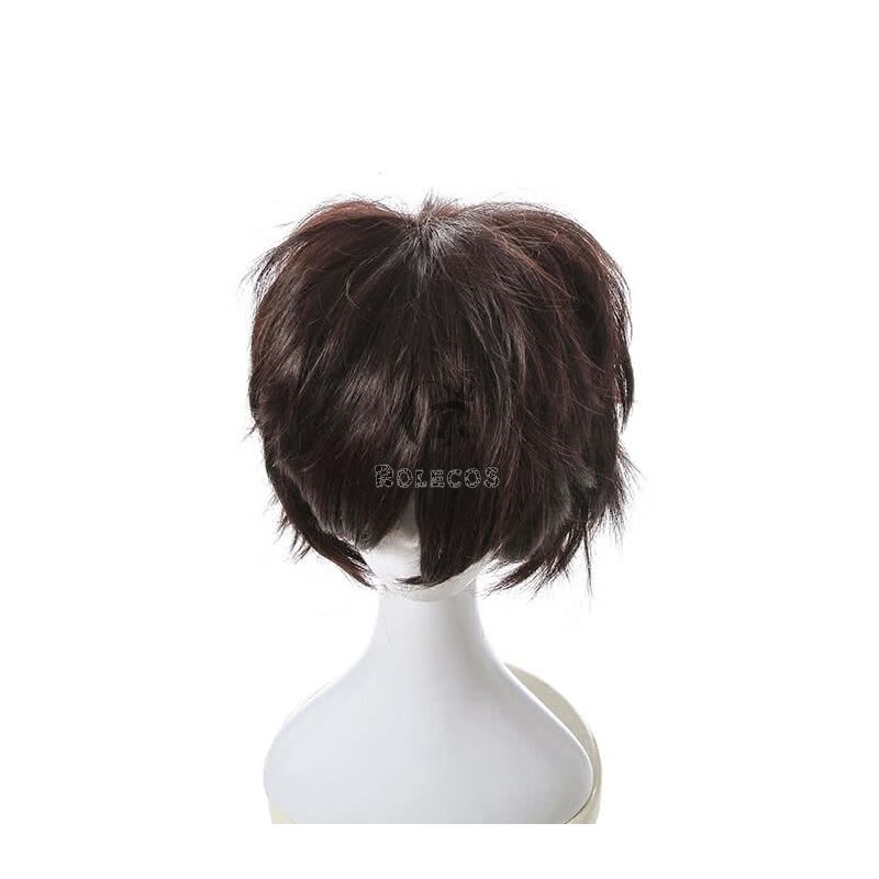 Fashion Black Short Synthetic Cosplay Man Wigs