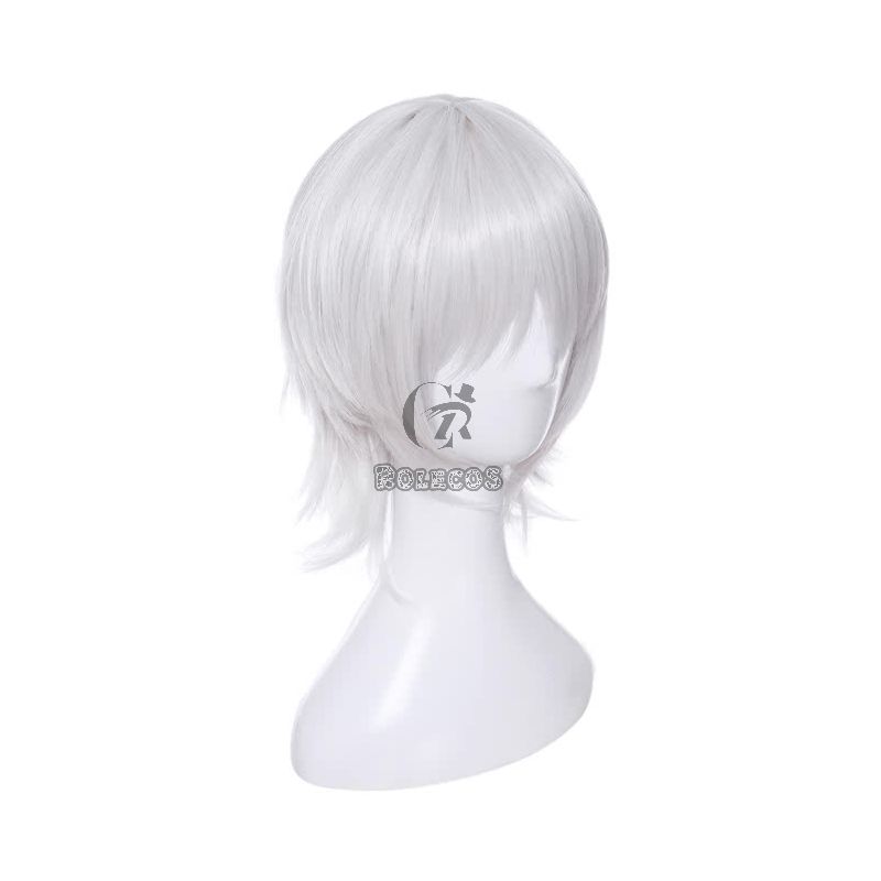 Fate/Apocrypha Assassin of Black Jack the Ripper Silver Cosplay Wigs