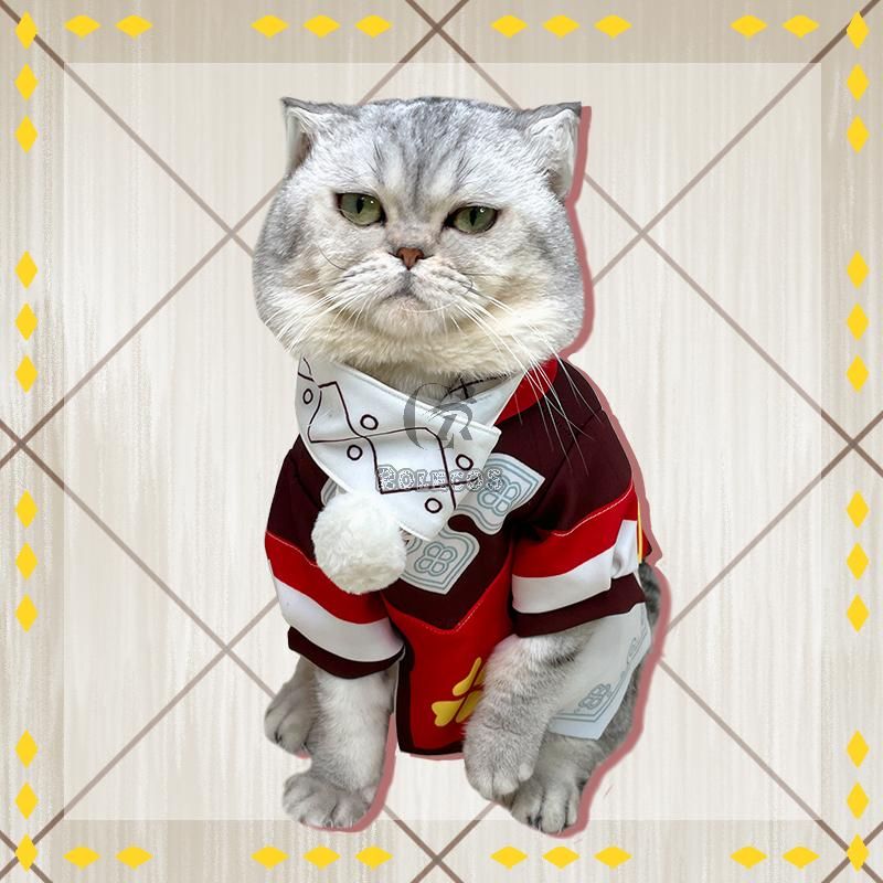 Game Genshin Impact Klee Cat Cosplay Costume
