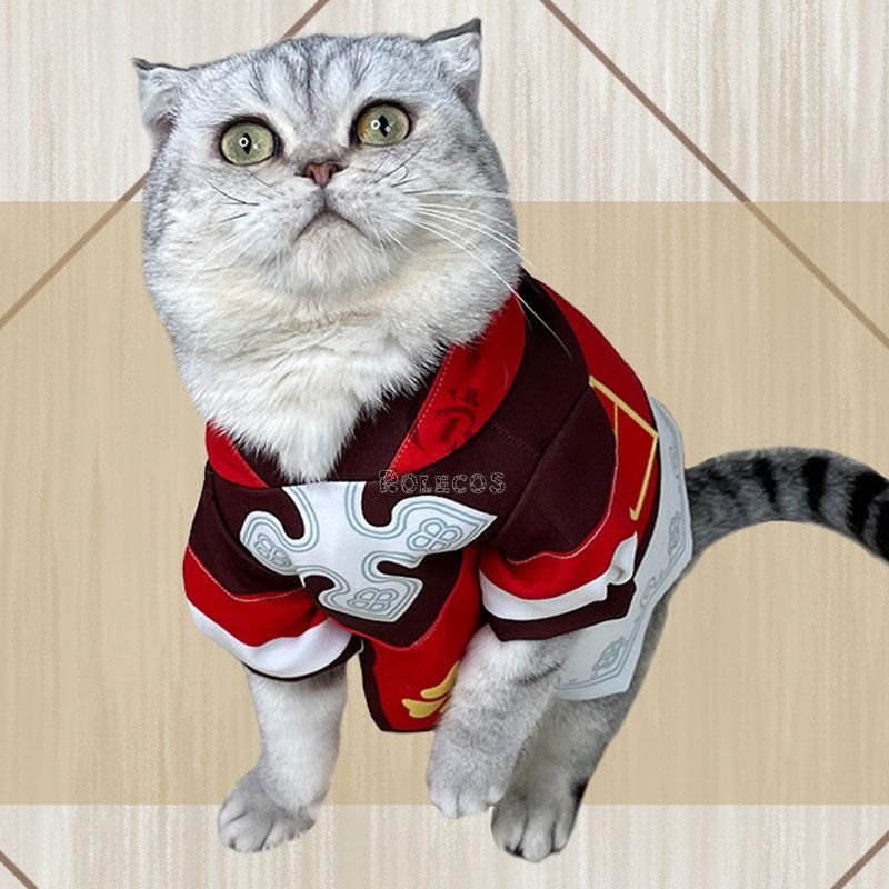 Game Genshin Impact Klee Cat Cosplay Costume