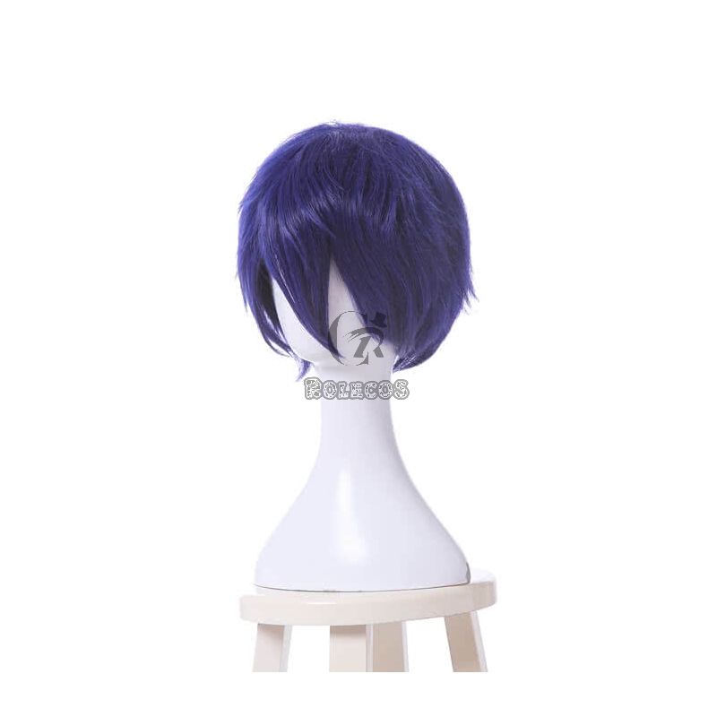 My Hero Academia Tenya Iida Anime Cosplay Wigs Synthetic Dark Blue  Short WigsMy Hero Academia Tenya Iida Anime Cosplay Wigs Synthetic Dark Blue  Short Wigs