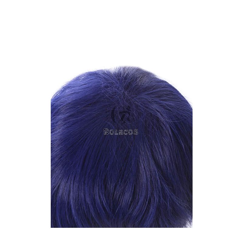 My Hero Academia Tenya Iida Anime Cosplay Wigs Synthetic Dark Blue  Short Wigs