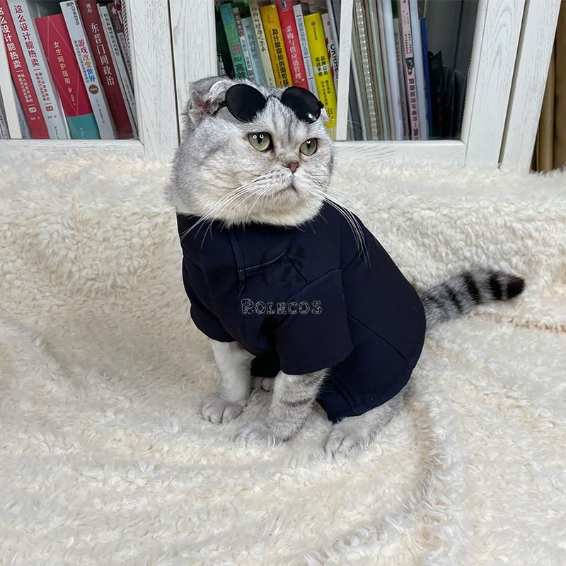 Jujutsu Kaisen Gojou Satoru Cat Costumer  Headgear Glasses Cosplay