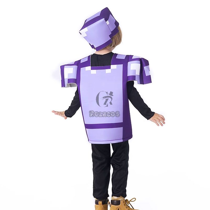 Minecraft Amethyst Equipment Cosplay Costume