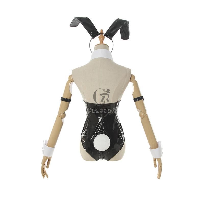 Seishun Buta Yarou wa Bunny Girl Senpai no Yume wo Minai  Sakurajima Mai  Bunny girl Cosplay Costume