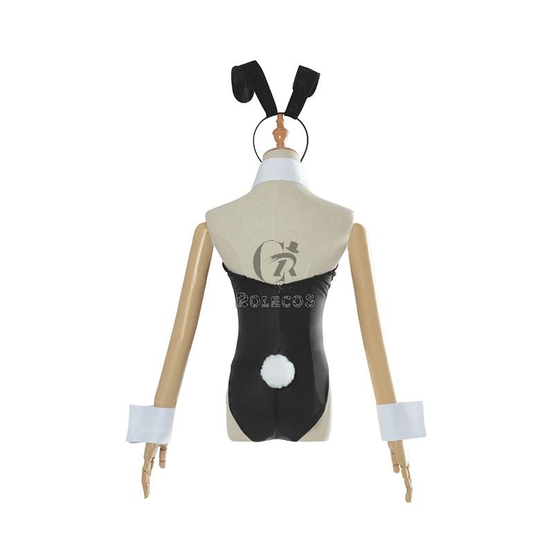 Seishun Buta Yarou wa Bunny Girl Senpai no Yume wo Minai  Sakurajima Mai  Bunny girl Cosplay Costume