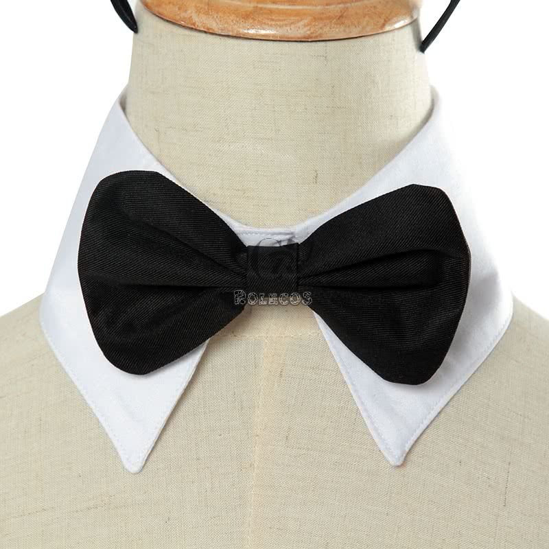Seishun Buta Yarou wa Bunny Girl Senpai no Yume wo Minai  Sakurajima Mai  Bunny girl Cosplay Costume