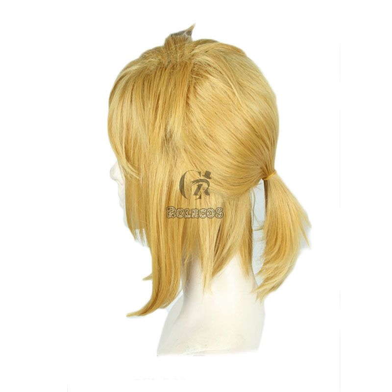 The Legend of Zelda Breath of the Wild Link Blond Cosplay Wigs