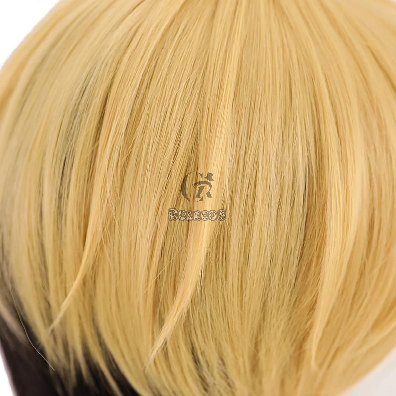Tokyo Revengers Chifuyu Matsuno Blond Mixed Black Short Cosplay Wigs